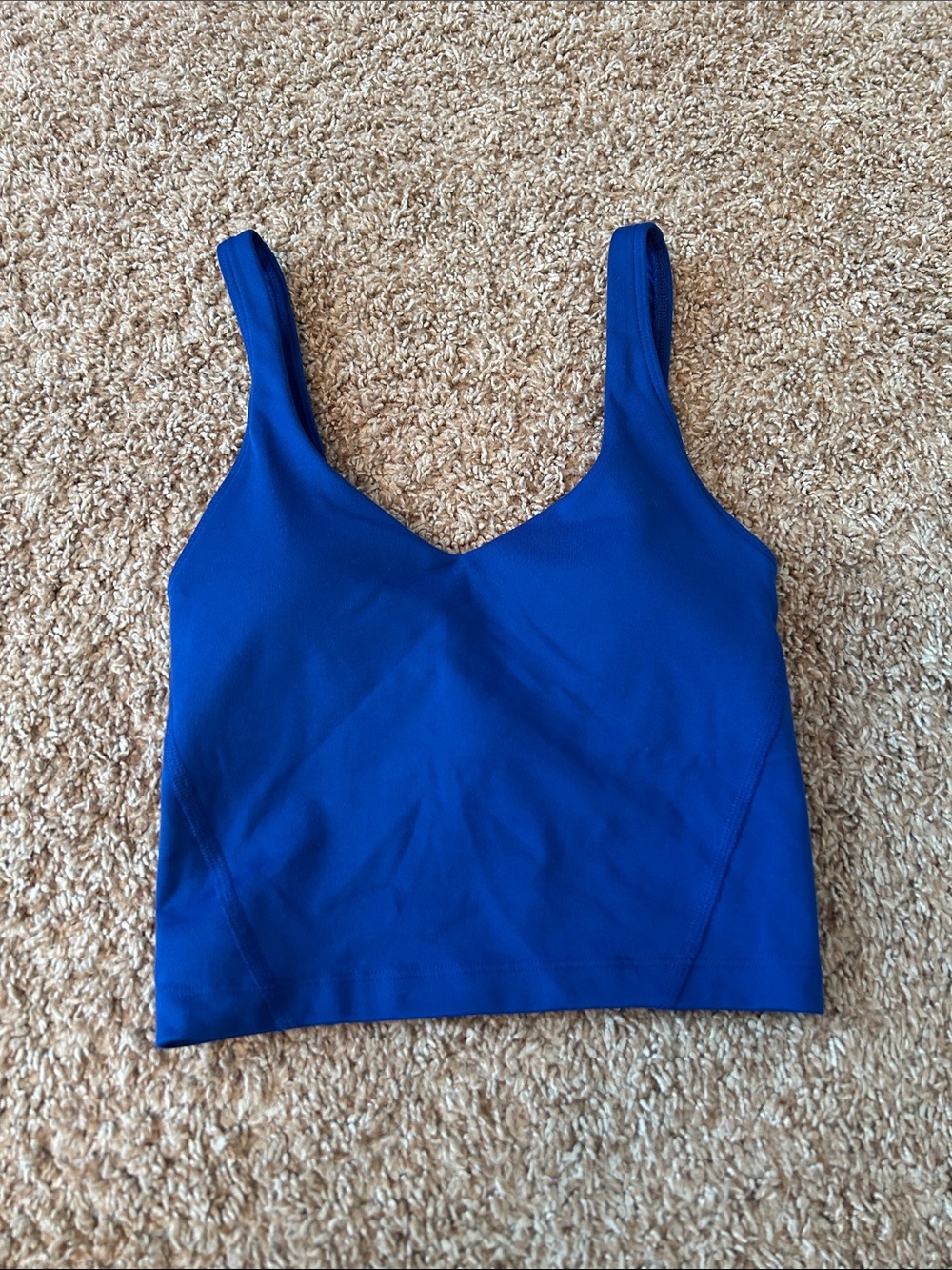 Gilly Hicks Royal Blue V-Neck Cropped Bra tank